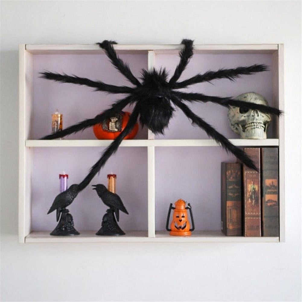 North Royal Giant Spider