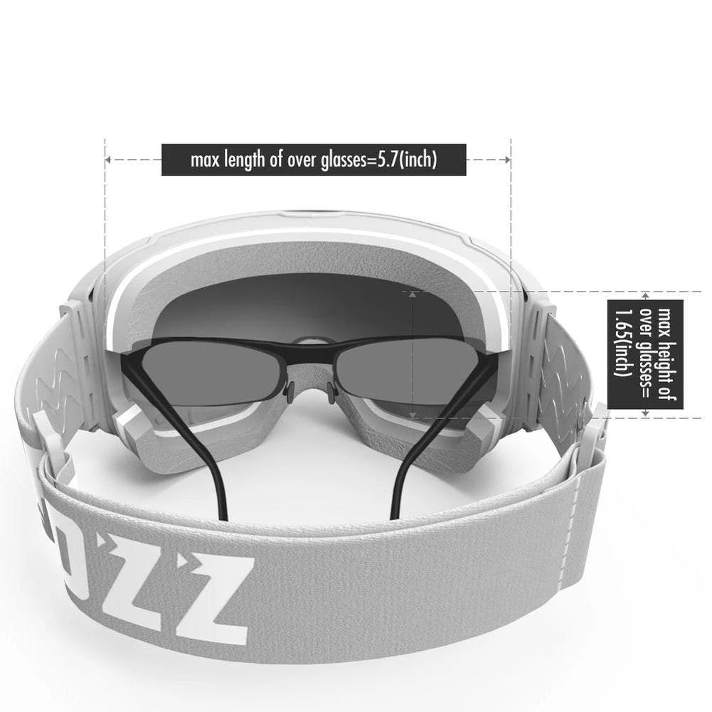 North Royal Adelphi Ski Goggles